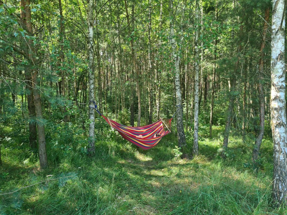 Dworek Ogrodniki, Caloroczny Dom Na Wylacznosc, Basen, Sauna, Las, Staw Rybny, Altana Grillowa, Ognisko, Pianino, Kominek, Piec Chlebowy, Duza Ogrodzona Posesja Tuczna Eksteriør bilde