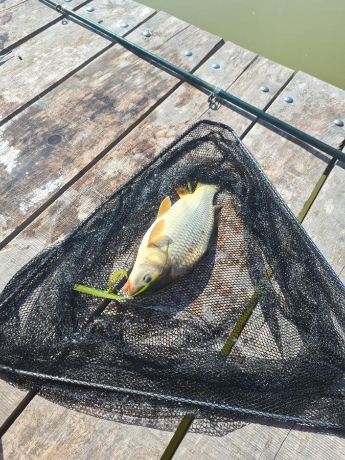 Dworek Ogrodniki, Caloroczny Dom Na Wylacznosc, Basen, Sauna, Las, Staw Rybny, Altana Grillowa, Ognisko, Pianino, Kominek, Piec Chlebowy, Duza Ogrodzona Posesja Tuczna Eksteriør bilde