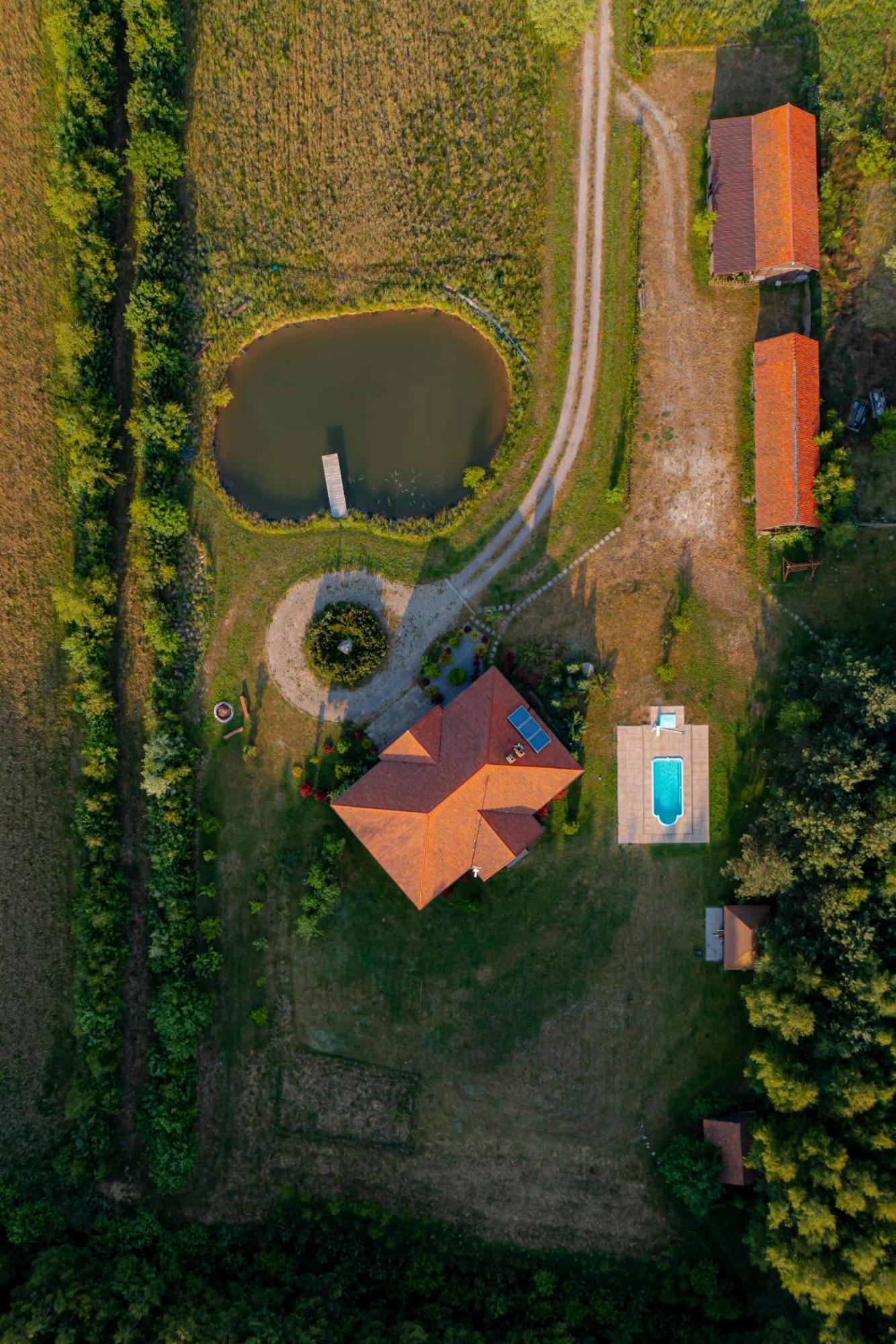 Dworek Ogrodniki, Caloroczny Dom Na Wylacznosc, Basen, Sauna, Las, Staw Rybny, Altana Grillowa, Ognisko, Pianino, Kominek, Piec Chlebowy, Duza Ogrodzona Posesja Tuczna Eksteriør bilde